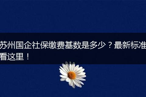 苏州国企社保缴费基数是多少？最新标准看这里！