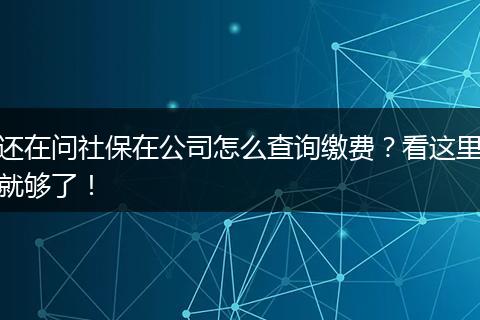 还在问社保在公司怎么查询缴费？看这里就够了！