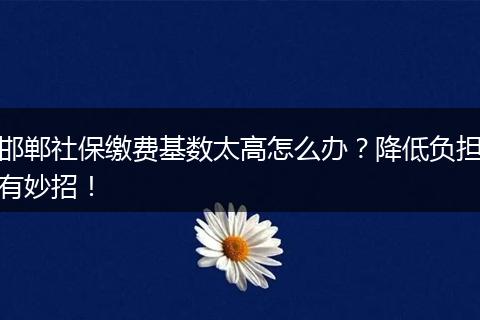 邯郸社保缴费基数太高怎么办？降低负担有妙招！
