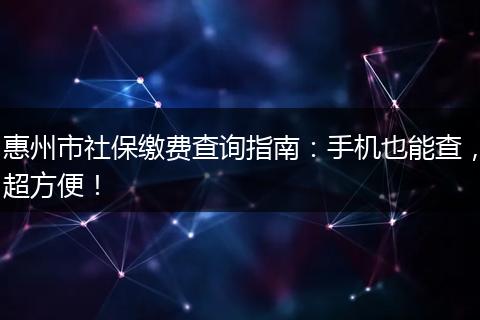 惠州市社保缴费查询指南：手机也能查，超方便！