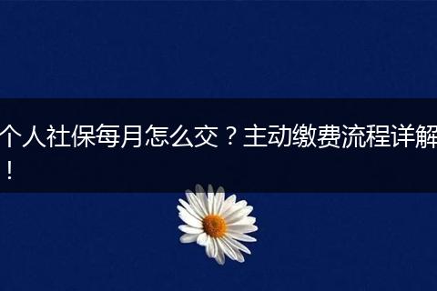 个人社保每月怎么交？主动缴费流程详解！