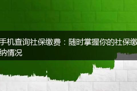 手机查询社保缴费：随时掌握你的社保缴纳情况