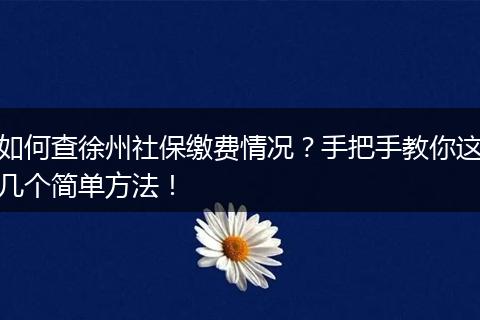 如何查徐州社保缴费情况？手把手教你这几个简单方法！