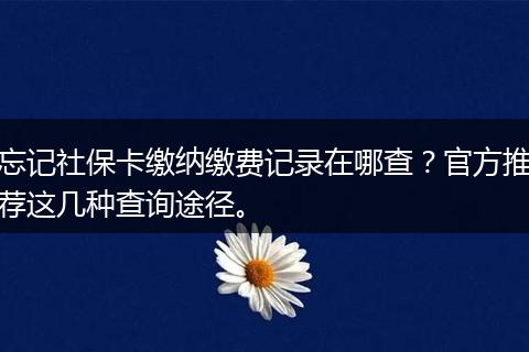 忘记社保卡缴纳缴费记录在哪查？官方推荐这几种查询途径。