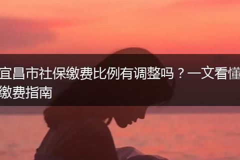 宜昌市社保缴费比例有调整吗？一文看懂缴费指南