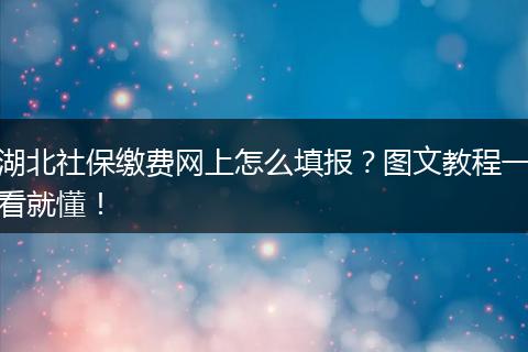 湖北社保缴费网上怎么填报？图文教程一看就懂！