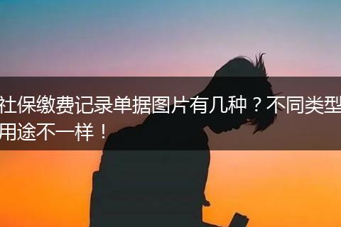 社保缴费记录单据图片有几种？不同类型用途不一样！