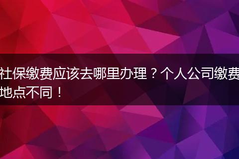 社保缴费应该去哪里办理？个人公司缴费地点不同！