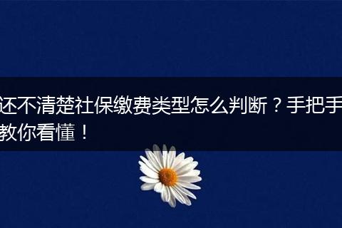 还不清楚社保缴费类型怎么判断？手把手教你看懂！