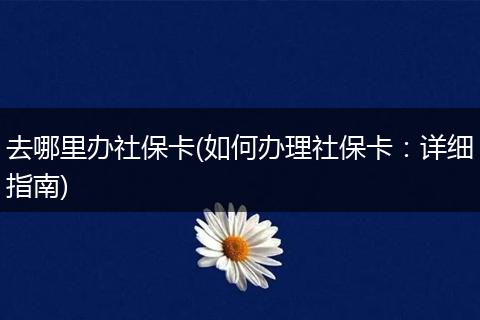 去哪里办社保卡(如何办理社保卡：详细指南)