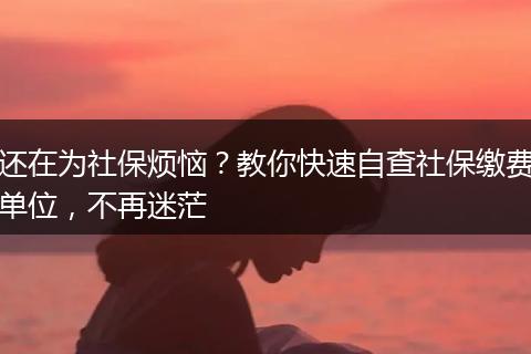 还在为社保烦恼？教你快速自查社保缴费单位，不再迷茫