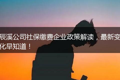 辰溪公司社保缴费企业政策解读，最新变化早知道！