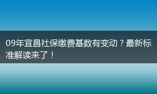 09年宜昌社保缴费基数有变动？最新标准解读来了！