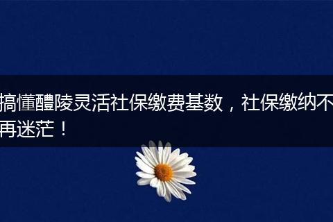 搞懂醴陵灵活社保缴费基数，社保缴纳不再迷茫！