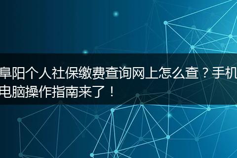 阜阳个人社保缴费查询网上怎么查？手机电脑操作指南来了！