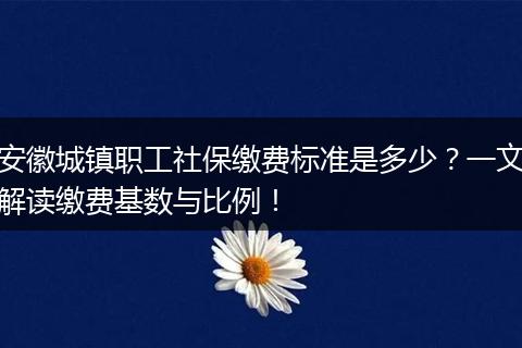 安徽城镇职工社保缴费标准是多少？一文解读缴费基数与比例！