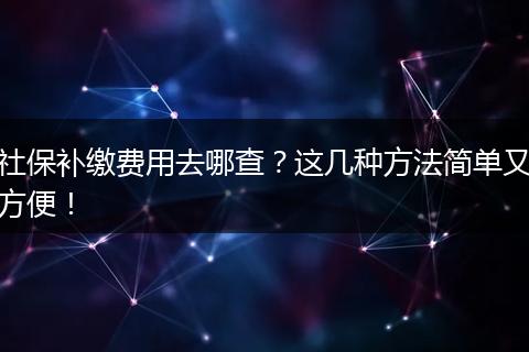 社保补缴费用去哪查？这几种方法简单又方便！