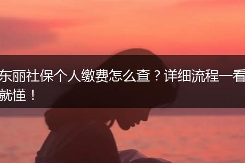 东丽社保个人缴费怎么查？详细流程一看就懂！