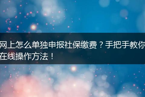 网上怎么单独申报社保缴费？手把手教你在线操作方法！