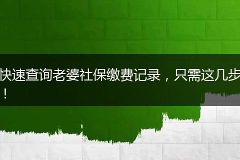 快速查询老婆社保缴费记录,只需这几步!