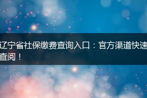 辽宁省社保缴费查询入口：官方渠道快速查阅！