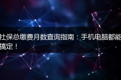 社保总缴费月数查询指南：手机电脑都能搞定！