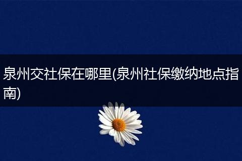 泉州交社保在哪里(泉州社保缴纳地点指南)