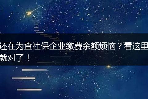 还在为查社保企业缴费余额烦恼?看这里就对了!