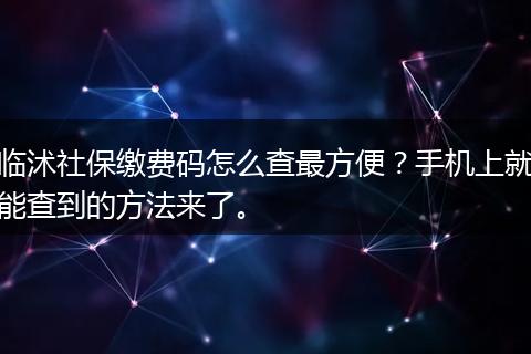 临沭社保缴费码怎么查最方便？手机上就能查到的方法来了。