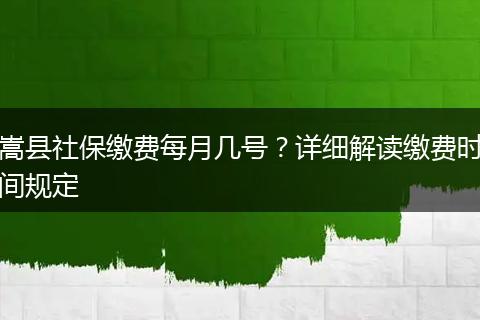 嵩县社保缴费每月几号?详细解读缴费时间规定