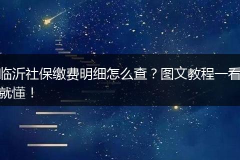 临沂社保缴费明细怎么查？图文教程一看就懂！