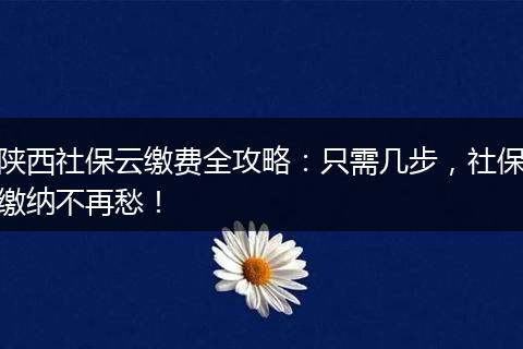 陕西社保云缴费全攻略：只需几步，社保缴纳不再愁！