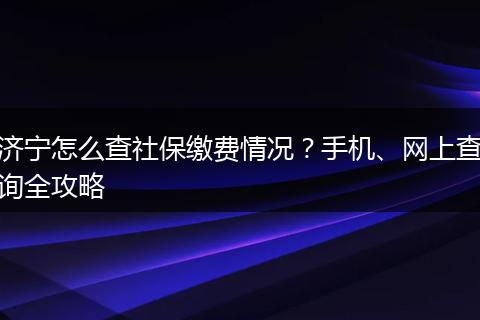 济宁怎么查社保缴费情况？手机、网上查询全攻略
