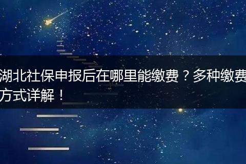 湖北社保申报后在哪里能缴费？多种缴费方式详解！