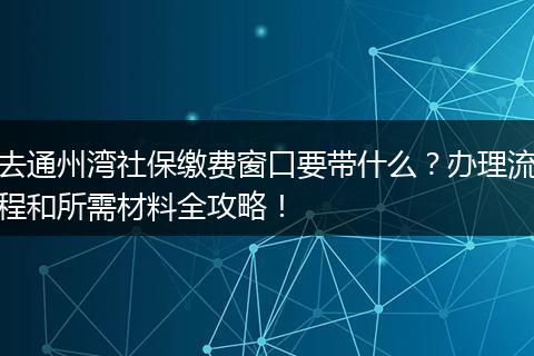 去通州湾社保缴费窗口要带什么？办理流程和所需材料全攻略！