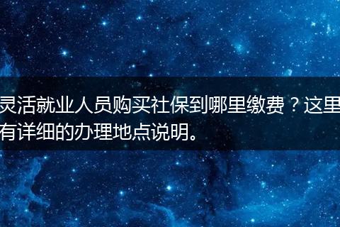 灵活就业人员购买社保到哪里缴费？这里有详细的办理地点说明。