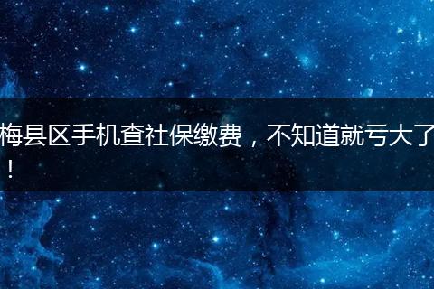 梅县区手机查社保缴费，不知道就亏大了！