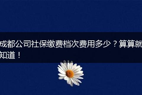 成都公司社保缴费档次费用多少？算算就知道！