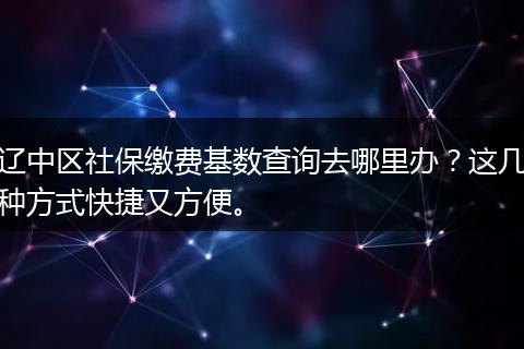 辽中区社保缴费基数查询去哪里办？这几种方式快捷又方便。