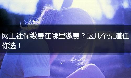 网上社保缴费在哪里缴费？这几个渠道任你选！