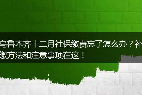 乌鲁木齐十二月社保缴费忘了怎么办？补缴方法和注意事项在这！