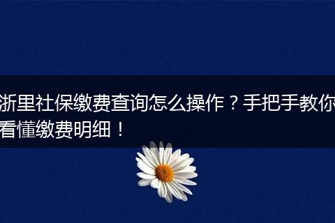 浙里社保缴费查询怎么操作？手把手教你看懂缴费明细！