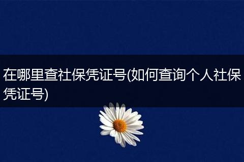 在哪里查社保凭证号(如何查询个人社保凭证号)