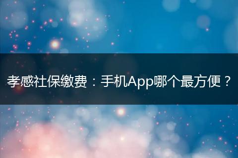 孝感社保缴费：手机App哪个最方便？