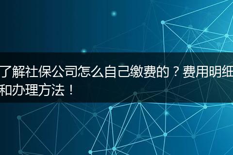 了解社保公司怎么自己缴费的？费用明细和办理方法！