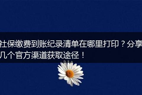 社保缴费到账纪录清单在哪里打印？分享几个官方渠道获取途径！