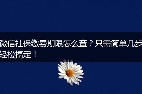 微信社保缴费期限怎么查？只需简单几步轻松搞定！