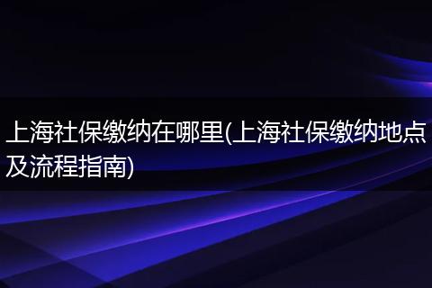 上海社保缴纳在哪里(上海社保缴纳地点及流程指南)