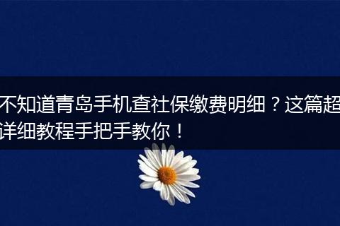 不知道青岛手机查社保缴费明细？这篇超详细教程手把手教你！