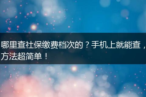 哪里查社保缴费档次的？手机上就能查，方法超简单！